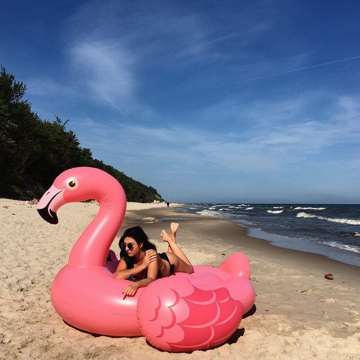 Trong khi diễn viên, người mẫu Diane Kruger là người đã “lăng xê” chiếc phao bơi hình hồng hạc thì nhóm bạn nổi tiếng Taylor Swift, Gigi Hadid, Kendall Jenner lại khiến cho những chiếc phao bơi hình thiên nga trở nên nổi tiếng.