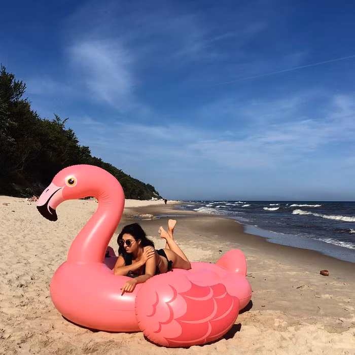 Trong khi diễn viên, người mẫu Diane Kruger là người đã “lăng xê” chiếc phao bơi hình hồng hạc thì nhóm bạn nổi tiếng Taylor Swift, Gigi Hadid, Kendall Jenner lại khiến cho những chiếc phao bơi hình thiên nga trở nên nổi tiếng.