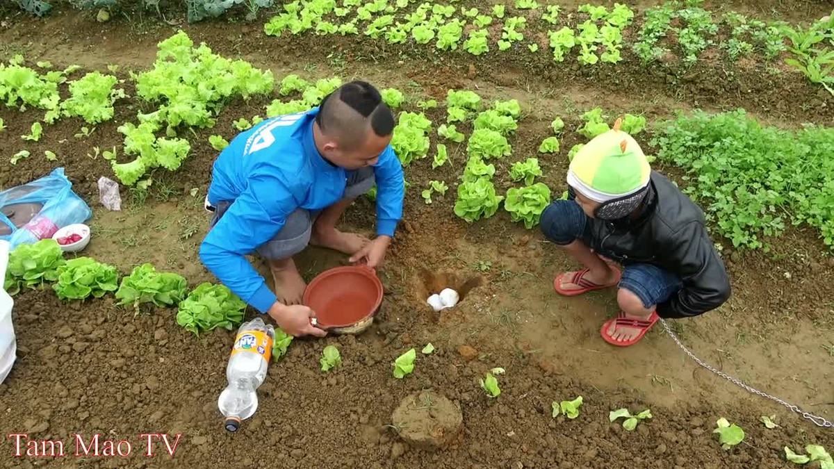 Dù chưa thể làm rõ thực hư con chim trong video có thật sự là Diều hoa Miến Điện hay không nhưng cư dân mạng đã có nhiều phản ứng khác nhau về sự việc.