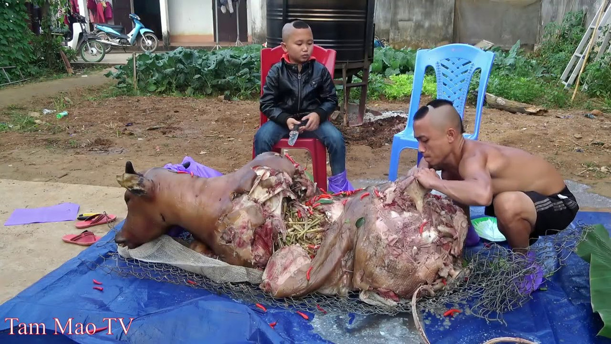 Nickname H.T chia sẻ: "Loài chim bị cấm giết thịt thế kia mà nhóm này vẫn làm rồi quay video được, mong công an điều tra rõ nhóm này rồi xử lý cho thật nghiêm".