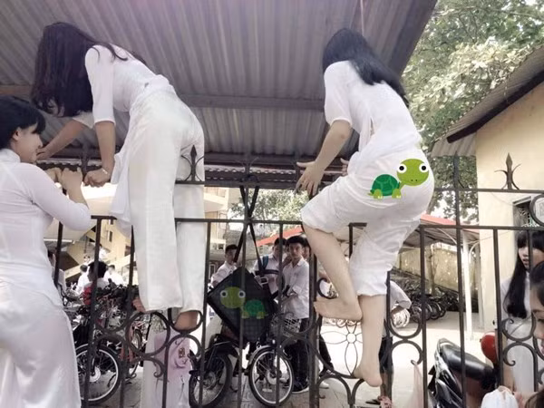 Không chỉ có những nữ sinh mặc đồng phục vượt rào mà ngay cả những cô nàng thướt tha trong tà áo dài cũng thực hiện hành động đầy "nam tính" này.