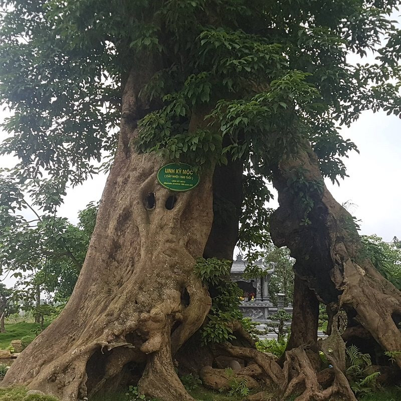Khu am thuc hon 70.000m2 tren dat trang trai o TP Thanh Hoa-Hinh-6