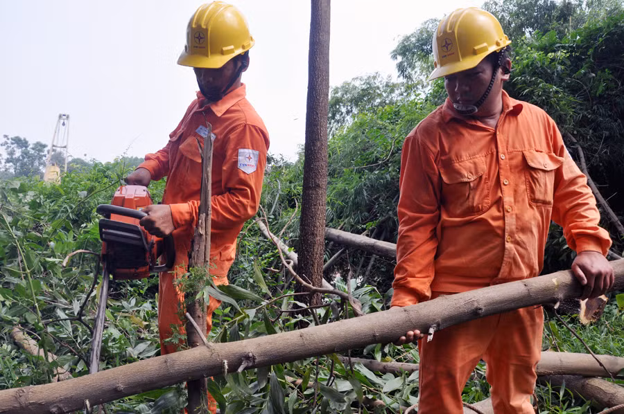 EVN HANOI voi cong tac dam bao an toan dien mua bao-Hinh-3