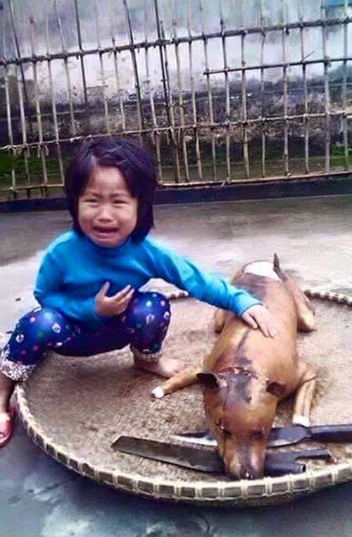 Mới đây, một số tờ báo đã đưa ra những thông tin về việc TP Hà Nội cấm ăn thịt chó vào năm 2021 để muốn người dân bỏ thói quen ăn thịt loài vật dễ thương này. Gần như ngay lập tức, cư dân mạng đã lên tiếng với những chiều hướng trái chiều.