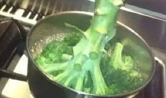 Theo ý kiến của những nàng dâu mới thì, xã hội hiện đại, việc làm và những hoạt động xã hội đã chiếm hết thời gian của họ và việc bếp núc khiến họ cảm thấy mệt mỏi và ngại mầy mò. Ảnh: Gocvuive.