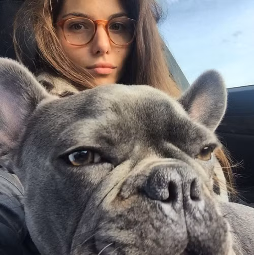 Ảnh sử dụng trong bài: Instagram nhân vật.