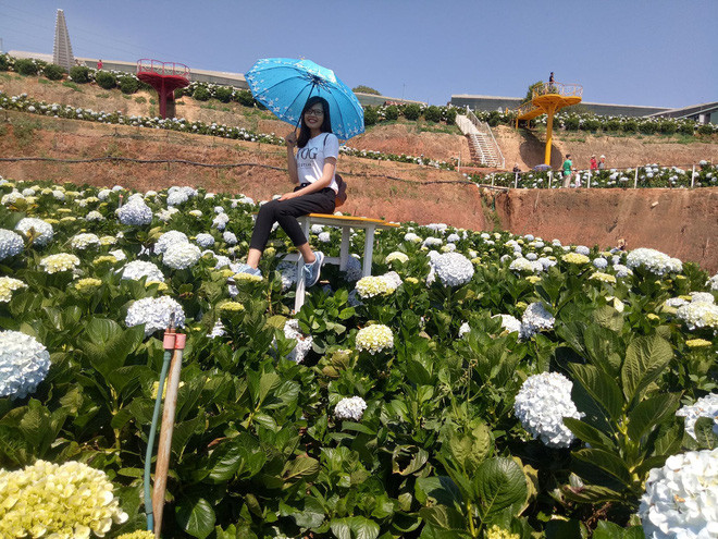 Nhìn ngoại hình của M.T, chắc hẳn chẳng ai nghĩ cô nàng còn độc thân, vì cô bạn sở hữu ngoại hình khá ưa nhìn..