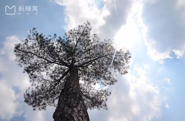 Đỉnh Đỉnh Hồ thuộc Tiên Đô, Tấn Vân, Lệ Thủy, Triết Giang, có hình dạng như cây măng, cao vọt qua mây, cao 170.8 mét, được gọi là Thiên hạ đệ nhất đỉnh.