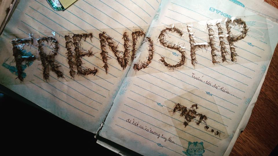 Tuy là những con vật có hại và bị chán ghét, tuy nhiên khi qua tay các dân mạng, trông muỗi và gián cũng khá đáng yêu. Không thể phủ nhận các bạn trẻ này có tài vì người ta thấy là vứt đi cho bằng được, đằng này còn giữ lại xếp hình làm kỉ niệm.