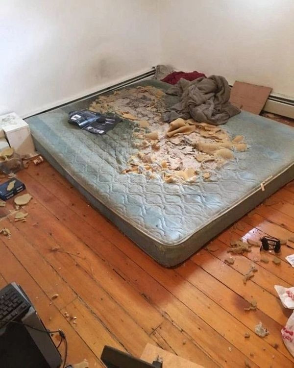 Nếu gặp đứa bạn cùng phòng ở bẩn thì nhiều bạn sẽ phải chấp nhận cảnh chiếc đệm trong phòng ngủ rách bươm.