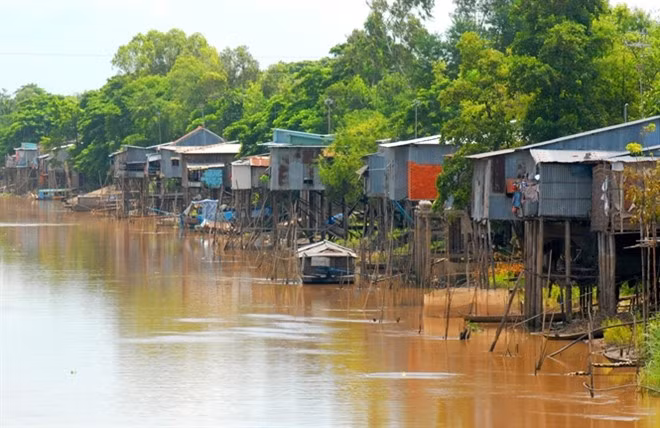 Nhà sàn của người dân miền Tây cặp sông, rạch.