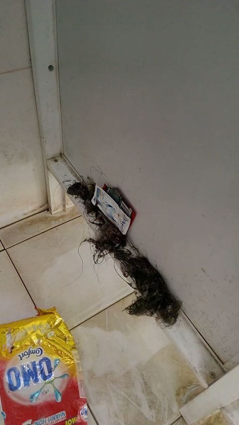 Nữ sinh K.H nói tiếp: "Thật sự là buồn vì phòng mình các bạn ý thức rất tốt và biết điều, cả phòng lại hợp cạ nhau. Chỉ vì mấy người này mà cả phòng tan tác dọn đi".