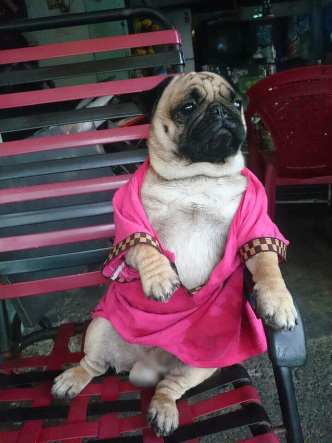 Tạo dáng phải chất thì mới có ảnh đẹp.