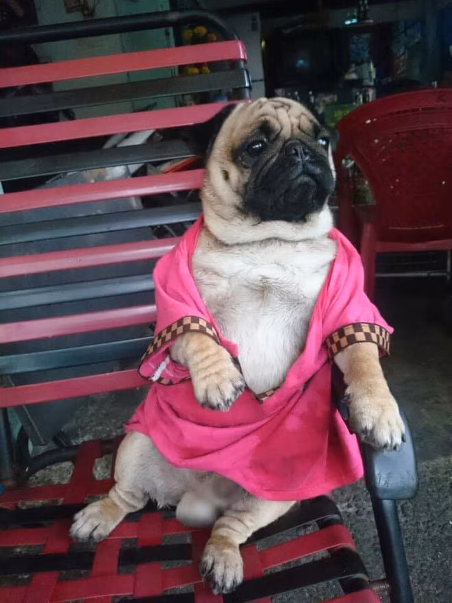 Tạo dáng phải chất thì mới có ảnh đẹp.