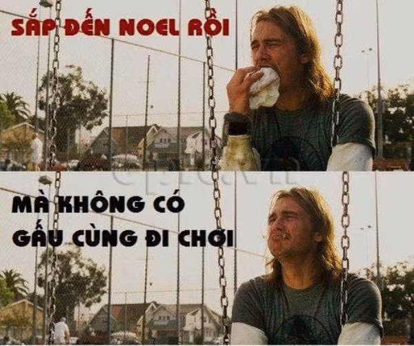 Những người chưa có "gấu" sẽ chung một cảm giác khi dịp lễ Giáng sinh cận kề.