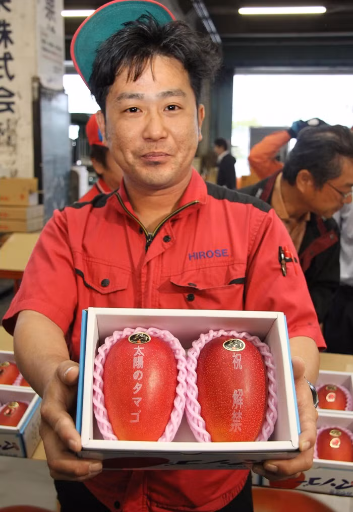 Những quả xoài này được chuyển tới cửa hàng ở Fukuoka để bán.