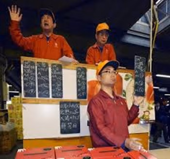 Theo Liên đoàn kinh tế nông nghiệp Miyazaki, năm nay nhãn hiệu xoài này sẽ thu hoạch hơn 1.000 tấn và bán ra thị trường nhiều nhất vào tháng 5 và 6.