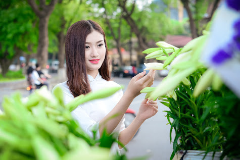 Những thiếu nữ Hà thành với bộ áo dài trắng truyền thống có dịp được khoe sắc bên loài hoa đẹp tinh tế mang tên loa kèn.