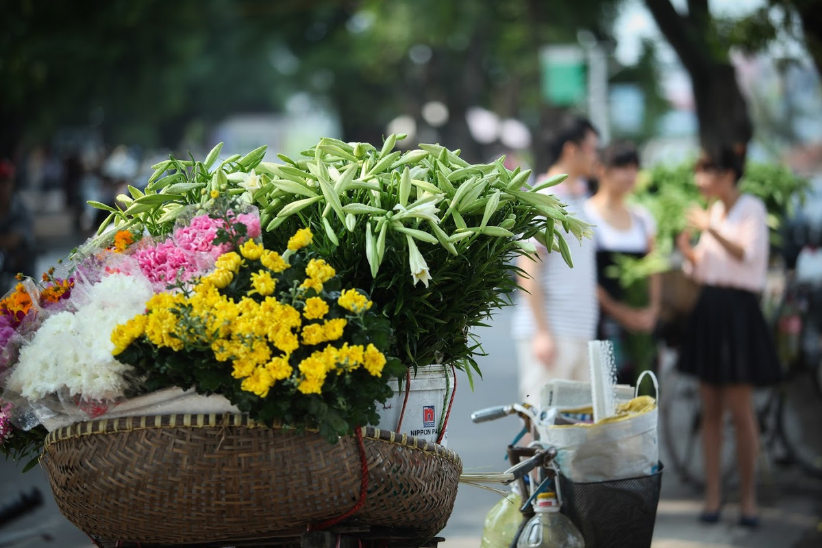 Vào thời gian này, những bông hoa loa kèn căng tràn đầy sức sống, bung nở vào đúng dịp giao mùa khiến lòng người chợt lắng đọng, xao xuyến.