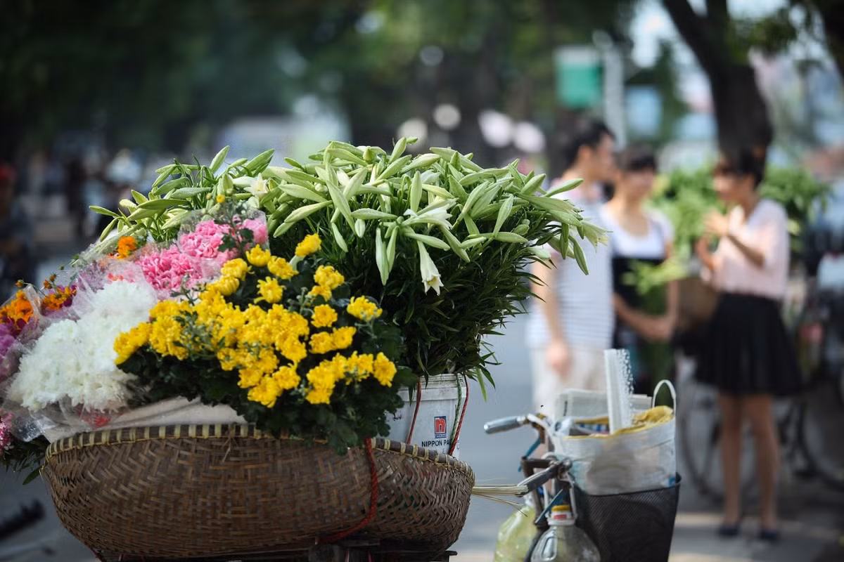 Vào thời gian này, những bông hoa loa kèn căng tràn đầy sức sống, bung nở vào đúng dịp giao mùa khiến lòng người chợt lắng đọng, xao xuyến.