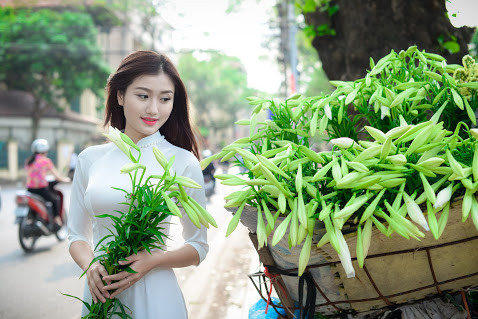 Góc đường Thanh Niên là nơi tập trung nhiều xe bán hoa cũng như là điểm được các thiếu nữ Hà thành chọn để chụp ảnh với hoa loa kèn nhất.