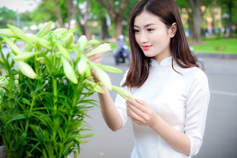 Mỗi mùa hoa loa kèn nở cũng là dịp những người yêu hoa được thướt tha trong tà áo dài truyền thống, chụp ảnh cùng hoa loa kèn để lưu lại kỷ niệm tháng Tư Hà Nội