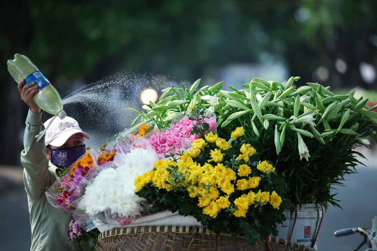 Cứ khoảng đầu tháng Tư hàng năm, người Hà Nội lại có dịp được chiêm ngưỡng sự khoe sắc của một loài hoa giản dị, tinh khiết, đó là hoa loa kèn.