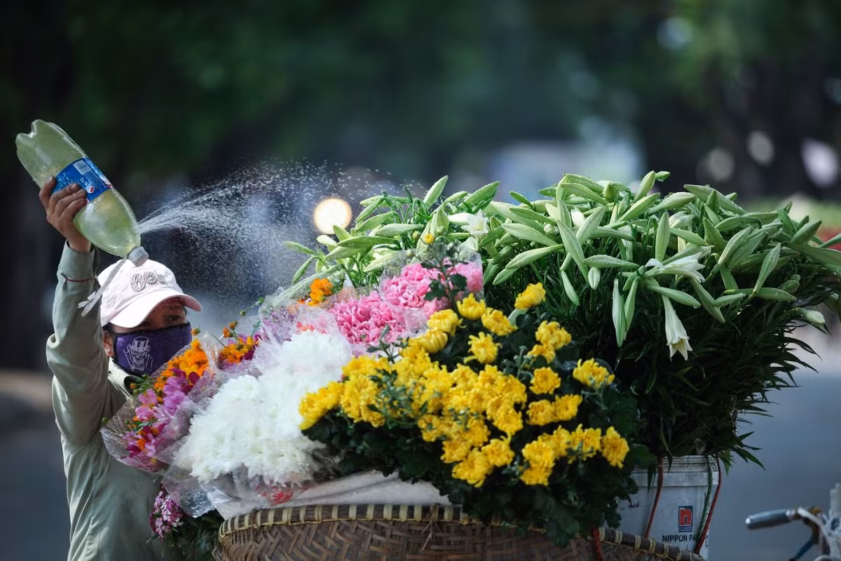 Cứ khoảng đầu tháng Tư hàng năm, người Hà Nội lại có dịp được chiêm ngưỡng sự khoe sắc của một loài hoa giản dị, tinh khiết, đó là hoa loa kèn.