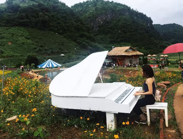 Xung quanh là những triền núi trắng muốt hoa cải đẹp mê hồn, phía dưới một chút có dòng suối Sập chảy từ Lào về, xuyên qua thác Dải Yếm, nước trong vắt, có nhiều loài cá quý