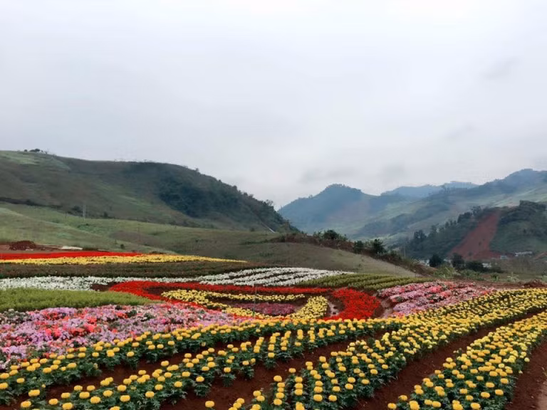 Thuộc bản Lùn, xã Mường Sang, Mộc Châu Happy Land có diện tích lên tới 5 ha nằm giữa một thung lũng rộng lớn và xanh mát.