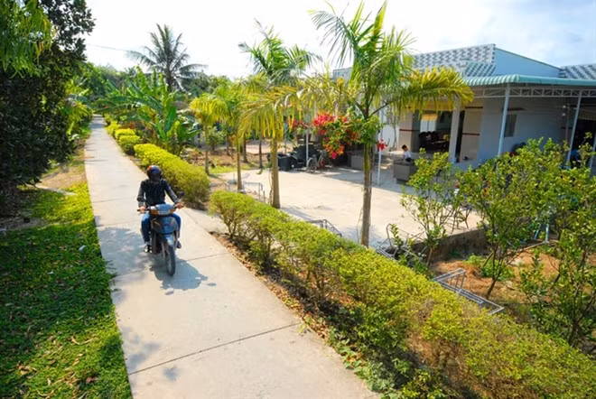 Nhà nông thôn với hàng rào cây xanh trước cổng