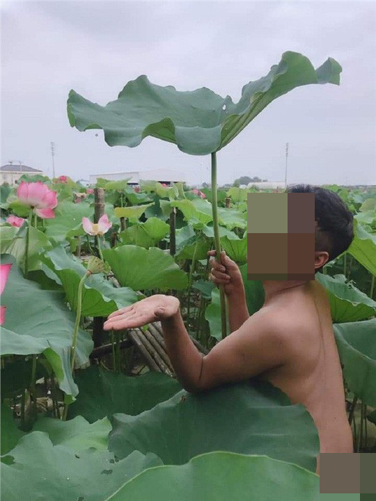 Trước sự bất bình của người xem, Đ.H.H (SN 1991), 1 trong 4 chàng trai có mặt trong bộ ảnh nói trên đã lên tiếng. Anh chàng khẳng định chỉ là chụp cho vui và tất cả đều mặc quần khi chụp.