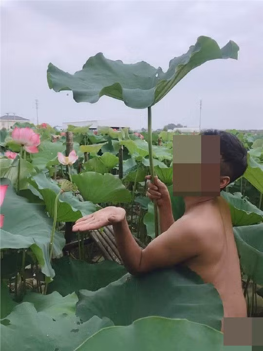 Trước sự bất bình của người xem, Đ.H.H (SN 1991), 1 trong 4 chàng trai có mặt trong bộ ảnh nói trên đã lên tiếng. Anh chàng khẳng định chỉ là chụp cho vui và tất cả đều mặc quần khi chụp.