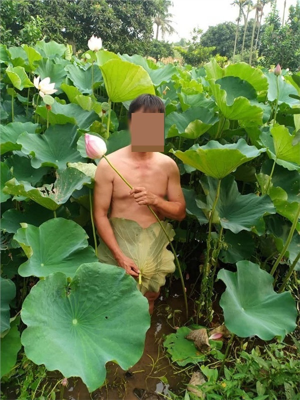 Ngay lập tức, những bức ảnh nude ở hồ sen của 3 người đàn ông đã khiến cộng đồng mạng chú ý. Đa phần cho rằng cách tạo dáng như vậy rất phản cảm, không phù hợp với thuần phong mỹ tục của người Việt.
