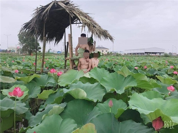 Trước đó, bộ ảnh nude phản cảm ở hồ sen của 4 chàng trai đến từ Bắc Giang đã khiến CĐM phải xôn xao.