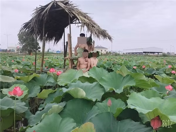 Trước đó, bộ ảnh nude phản cảm ở hồ sen của 4 chàng trai đến từ Bắc Giang đã khiến CĐM phải xôn xao.