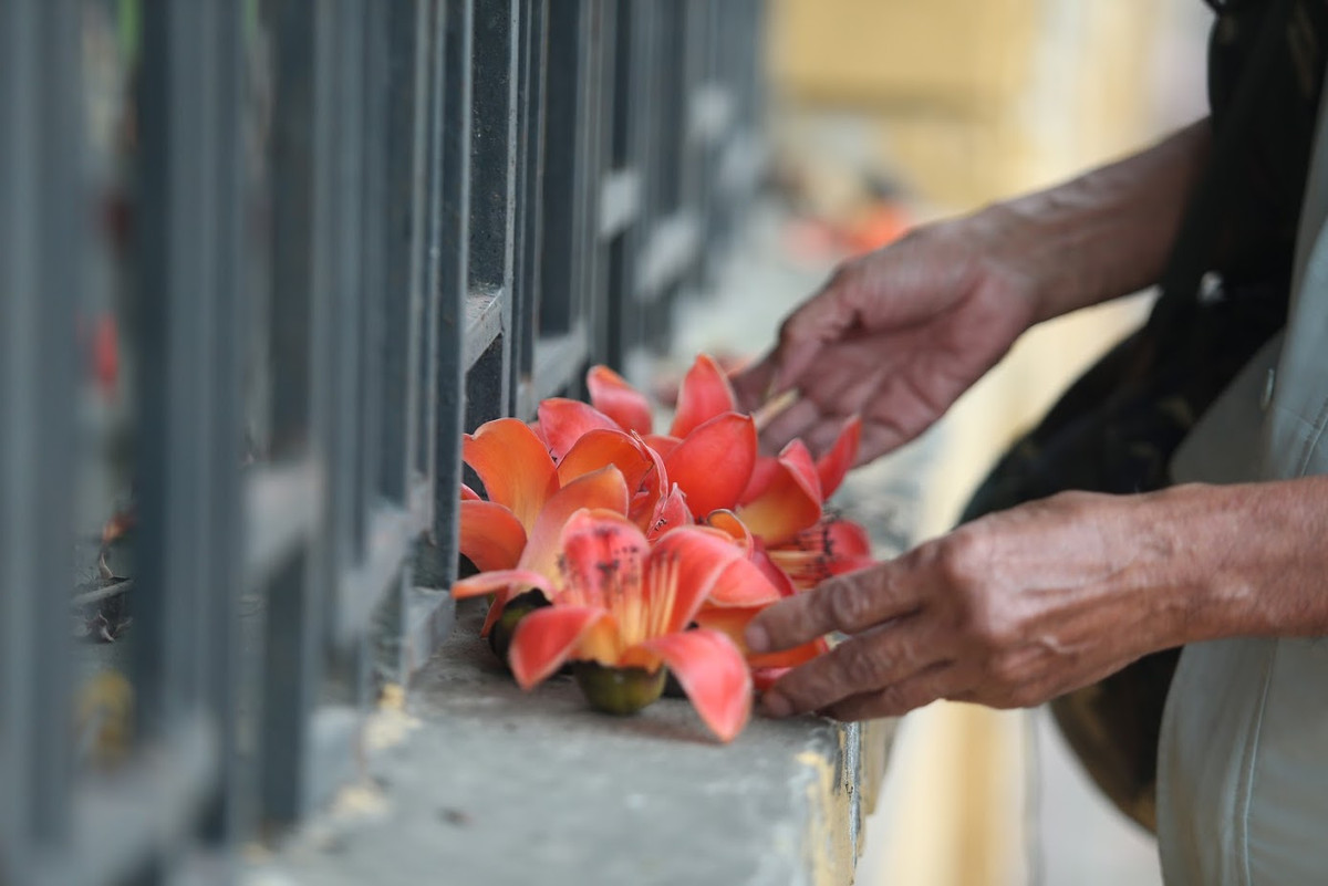 Hoa gạo thu hút khá đông người yêu thích chụp ảnh đến ghi lại một khoảnh khắc đặc biệt của tháng 3.