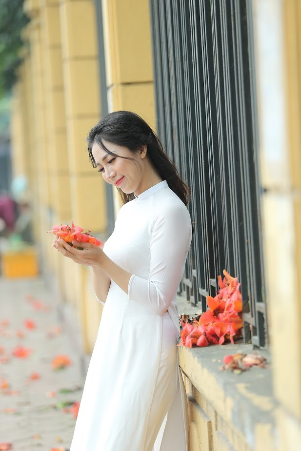 Số lượng cây hoa gạo trong thành phố nay chỉ còn đếm trên đầu ngón tay. Nhưng mỗi khi nở nó là khiến nhiều người nhớ đến lời hẹn ước của tháng 3.