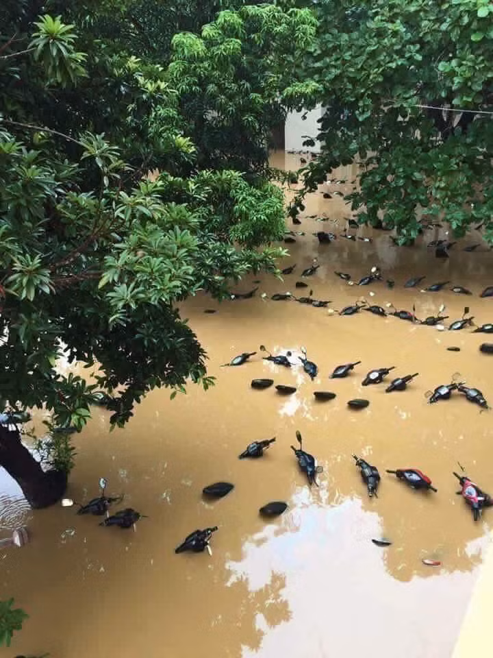 Nước ngập khiến bãi xe trở thành một con sông và nếu không nhìn kĩ nhiều người sẽ tưởng đây là một bở sông nào đó.