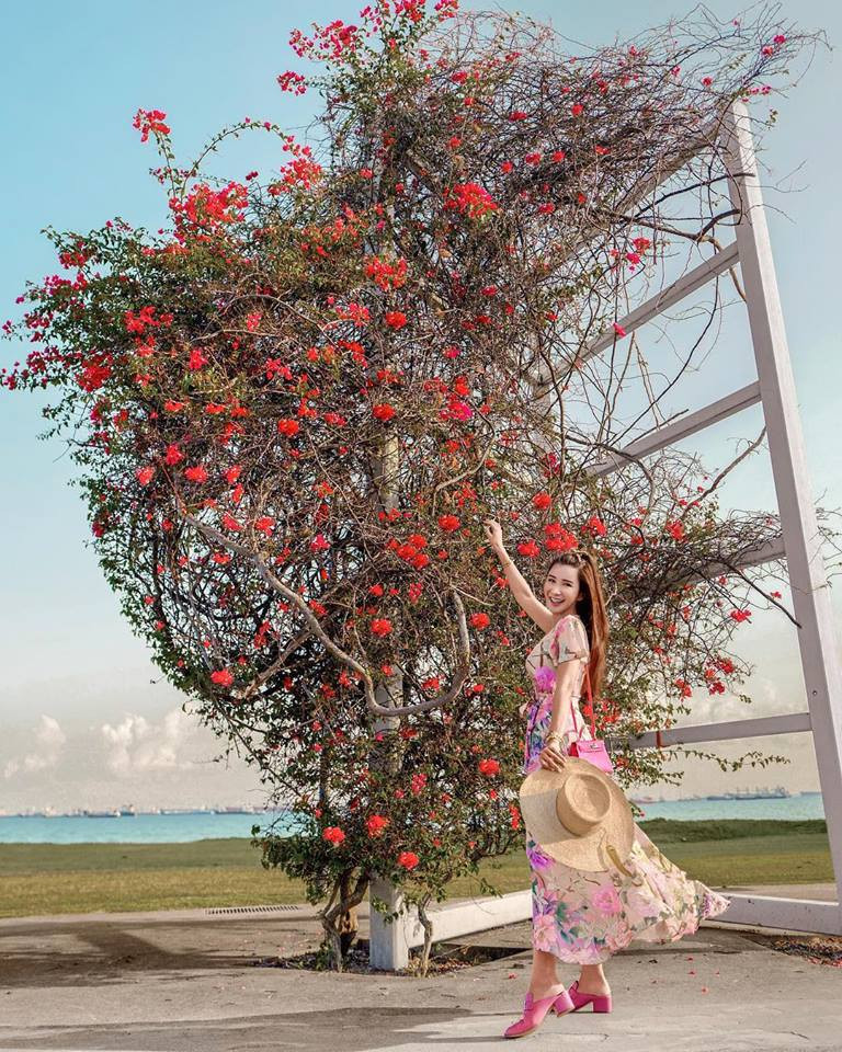 Tại Singapore, Jamie Chua là nữ hoàng đồ hiệu, trên thế giới, cô là người sở hữu bộ sưu tập túi Hermes khủng nhất với số lượng trên 200 chiếc