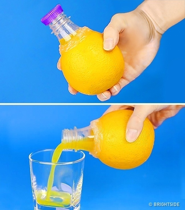 Nếu bạn muốn uống nước ép trái cây tươi nhưng không có máy ép, hãy thử cách này. Cắt cổ chai nhựa rồi khoét lỗ bên trong quả để phù hợp với cổ chai vừa cắt. Sau đó, vừa ấn cổ chai vừa siết chặt vào bên trong quả và đổ nước ép ra li là xong.