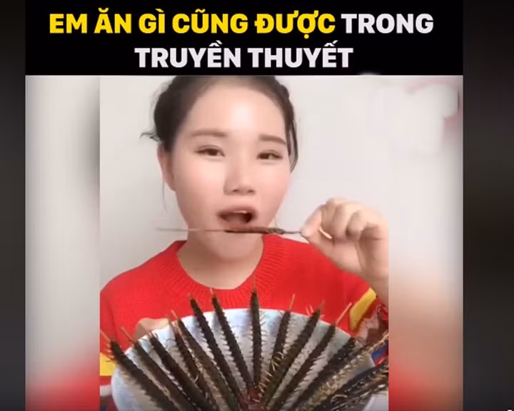 Việc ăn côn trùng là tập tục truyền thống của nhiều dân tộc trên thế giới bởi nó được coi là loại thức ăn bổ dưỡng và ngon miệng. Tuy nhiên, khi chứng kiến cô gái trẻ say mê ăn rết, bọ cạp, giun, nhiều người vẫn khó tránh khỏi cảm giác rùng mình và phải phong cho cô biệt danh " thánh nữ ăn côn trùng".