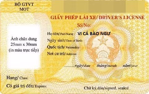 Họ đã lạ và cái tên còn lạ hơn khiến dân mạng phải ôm bụng cười ngặt nghẽo.