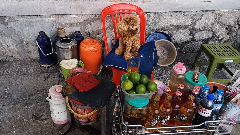 Hàng nước chè nhỏ nơi góc phố dọn sớm chờ khách, cũng từ đây không ít câu chuyện từ chính sự cho đến vỉa hè được bàn tán xôn xao.