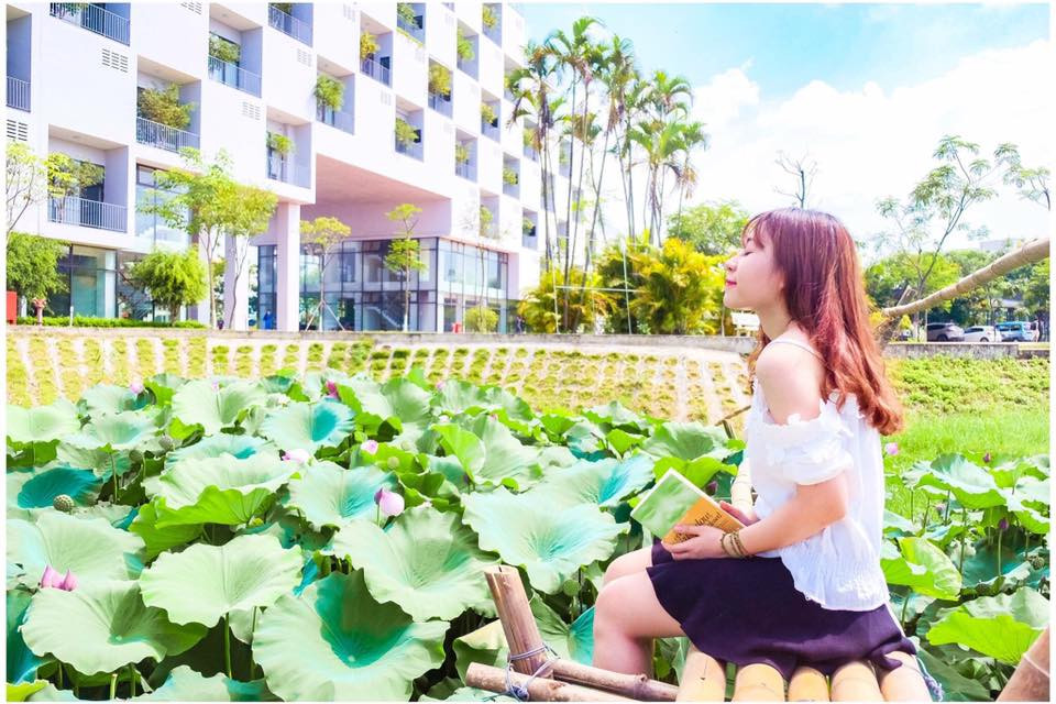 Cuối tháng 5, đầu tháng 6, hầu hết các hồ sen, đầm sen quanh Hà Nội bắt đầu bung nở, khoe sắc hồng tươi hoặc phô bày màu trắng tinh khiết, đẹp dịu dàng như muốn níu chân người. Trong khi rất nhiều người thường chen nhau chụp ảnh ở các đầm sen Tây hồ thì nhiều bạn sinh viên ĐH FPT lại có địa điểm check-in lý tưởng ngay trong khuôn viên trường.