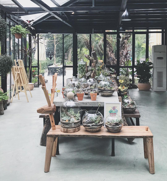 Nếu tầng trệt của quán được trang trí với vô số những chậu cây xanh, không gian mở, tường kính trong veo để nhìn ra tiểu cảnh bên ngoài, thì các tầng trên lại là không gian ngoài trời xinh xắn với những góc nhìn xuống phố, nhìn sang công viên Lý Thái Tổ.