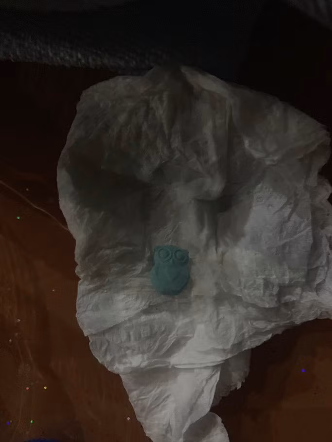 Dot kich vu truong Dai Duong, dan choi nhay nhot... te le phe ma tuy-Hinh-2