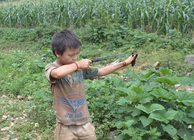 Những đứa nhỏ phải có người túc trực canh chừng.