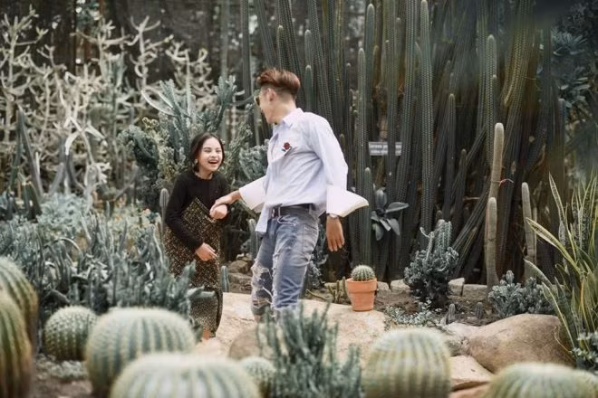 Hay đơn giản dành cả buổi dạo chơi quanh đầm sen, xem thủy cung, khu động vật là đã có những ngày cuối tuần siêu thú vị.