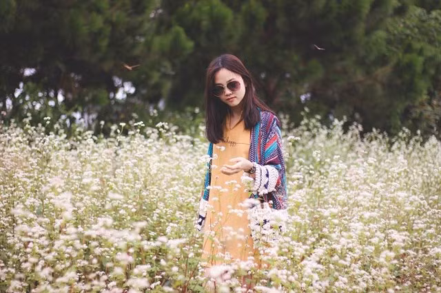 Cánh đồng hoa tam giác mạch tại DaLat Milk Farm chẳng thua kém gì ở Hà Giang.